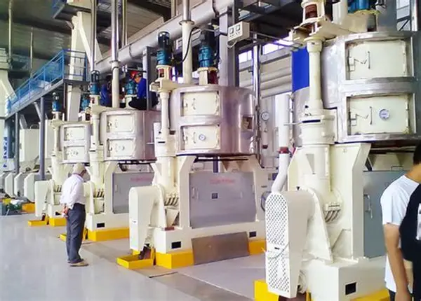 Healthy Sattu and Besan Manufacturer